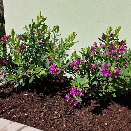 Casa Myrtifolia Daire Todi Dış mekan fotoğraf